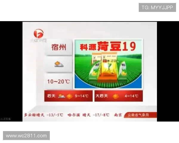 安徽卫视每日最新天气预报直播，精准掌握天气变化